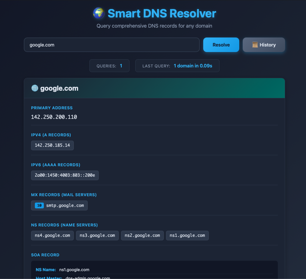 Smart DNS Resolver - Comprehensive DNS Record Query Tool